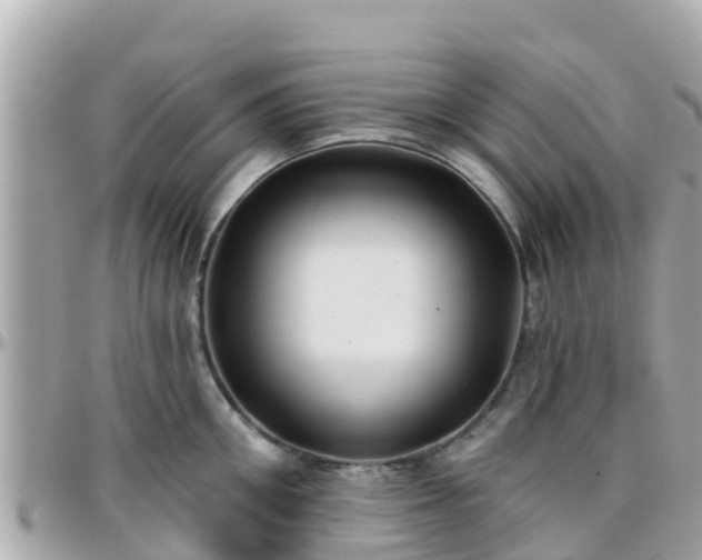 X0000096210906200801251032