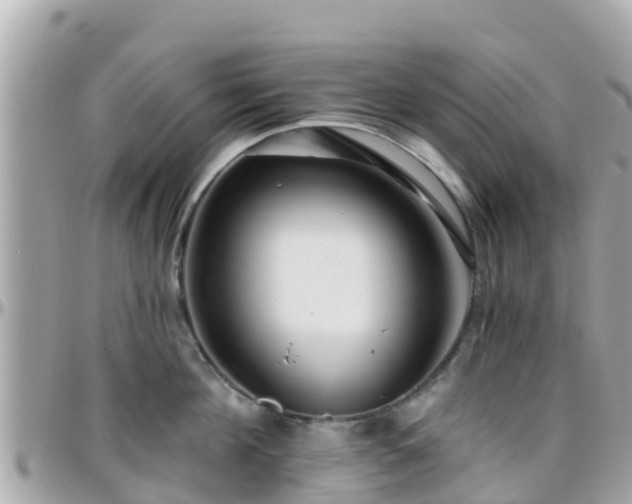 X0000096210908200801251032