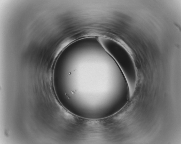 X0000096210909200801251032