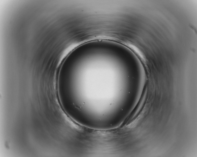 X0000096210910200801251032