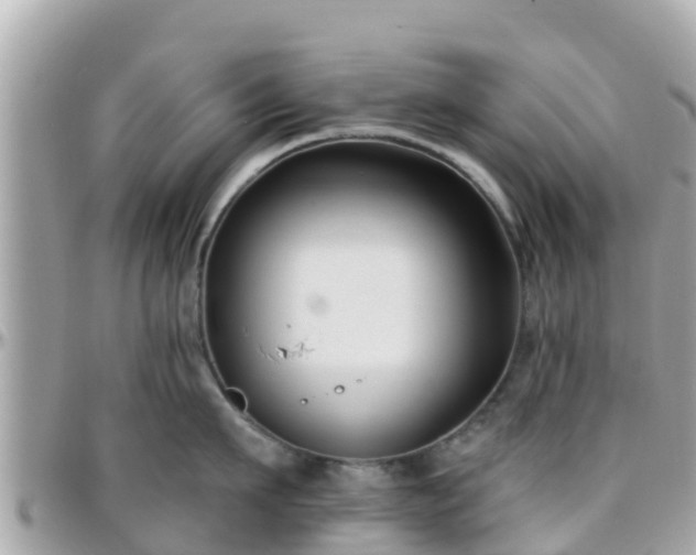 X0000096210911200801251032