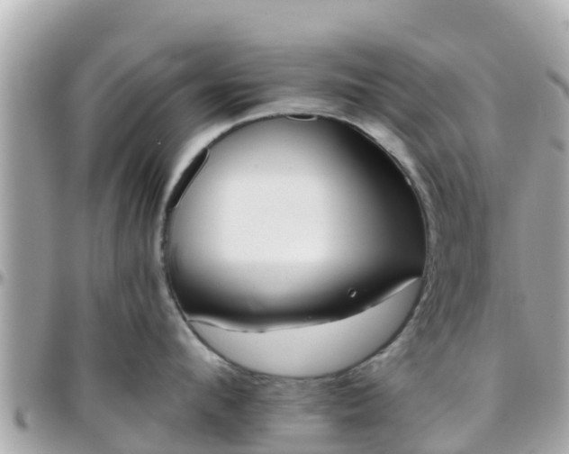 X0000096210912200801251032