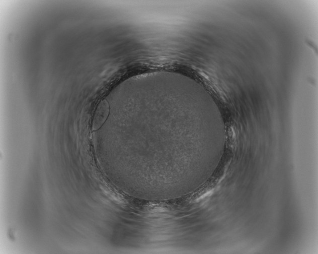 X0000096210913200801251031