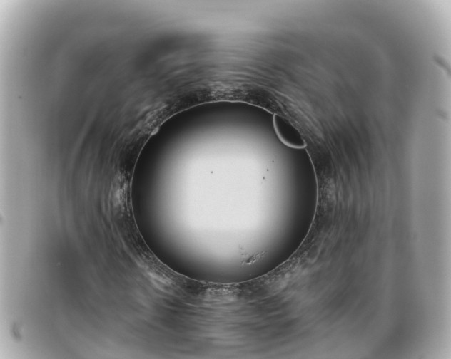 X0000096210914200801251031