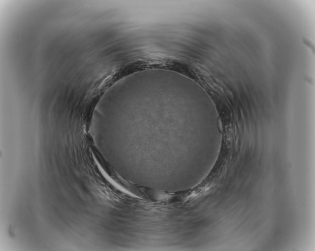 X0000096210916200801251031