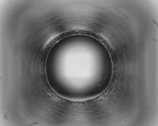 X0000096210919200801251031