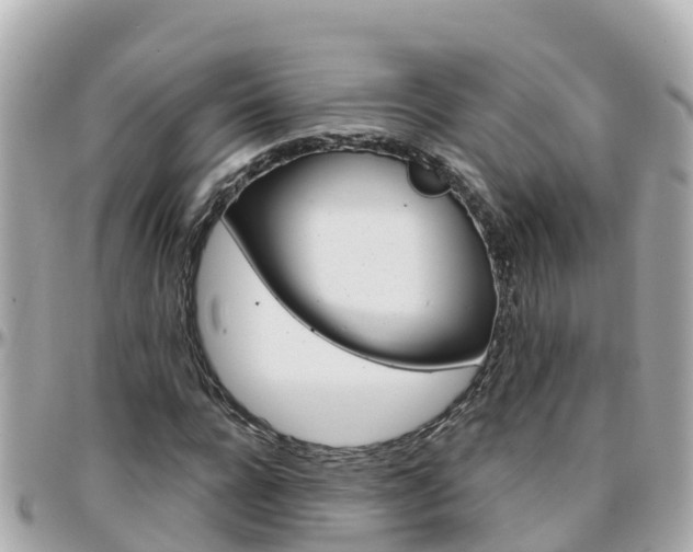 X0000096210920200801251031