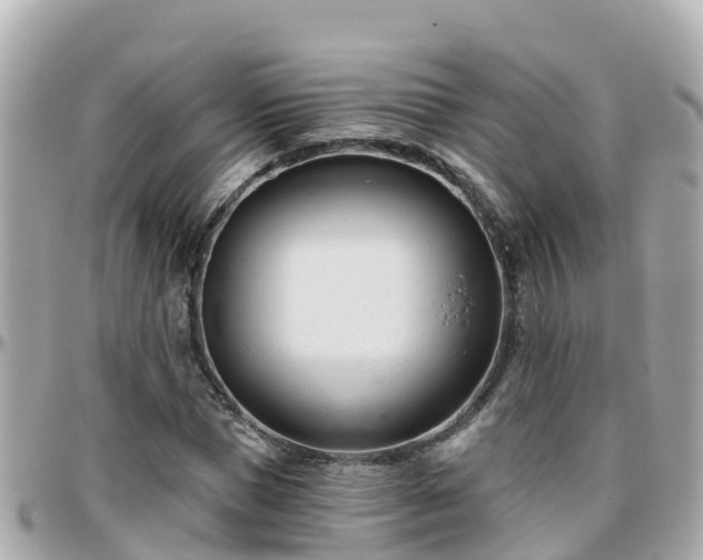 X0000096210921200801251031