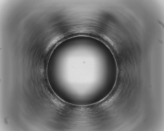 X0000096210922200801251031