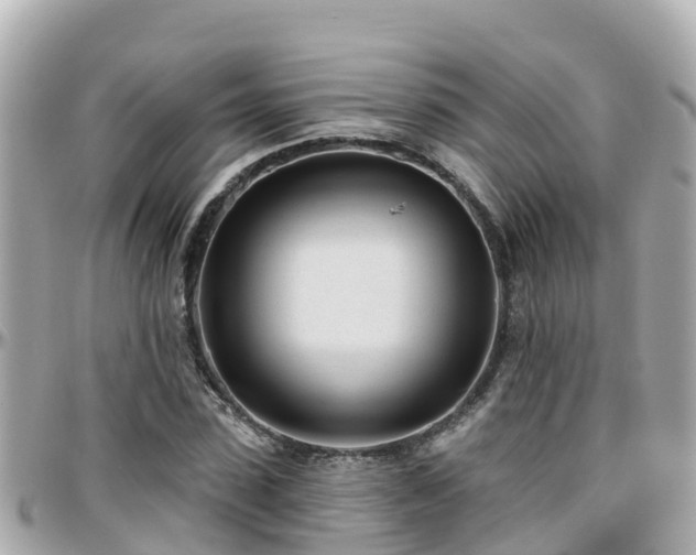 X0000096210923200801251031