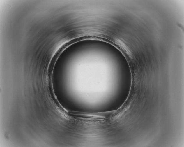 X0000096210924200801251031