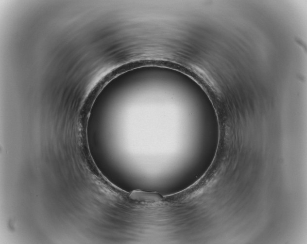 X0000096210926200801251031