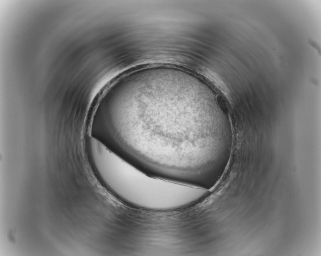 X0000096210928200801251031