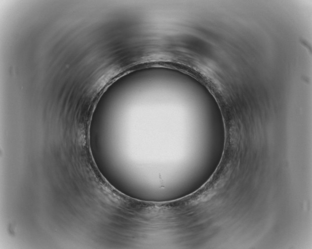 X0000096210929200801251031