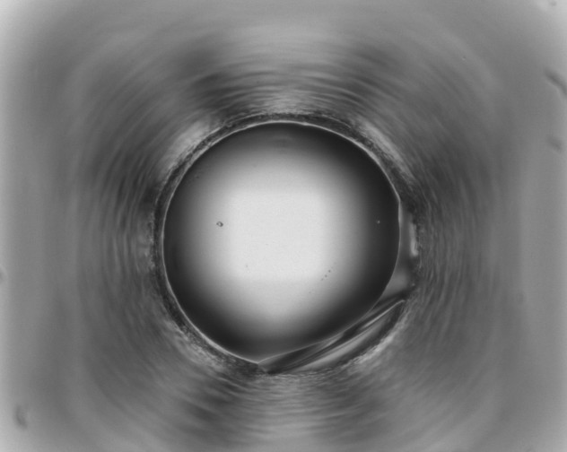 X0000096210930200801251031