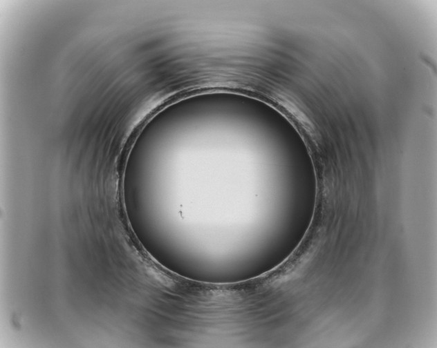 X0000096210933200801251031