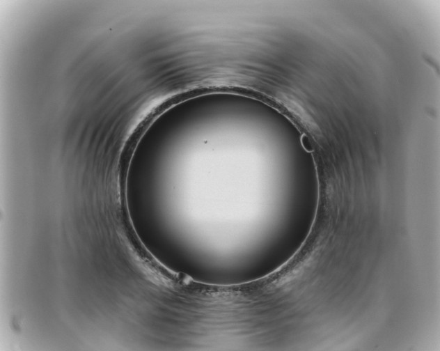 X0000096210934200801251031