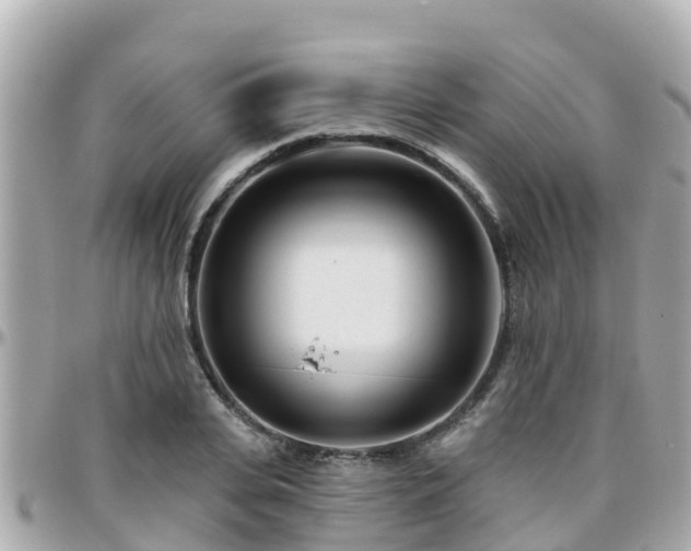 X0000096210935200801251031