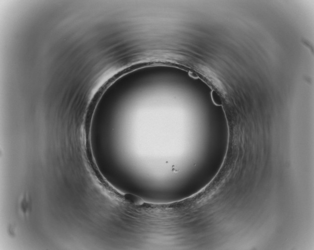 X0000096210936200801251031