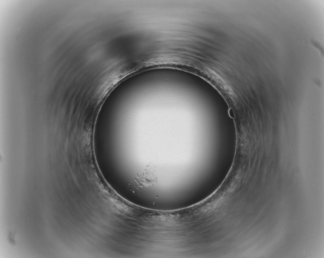 X0000096210937200801251031