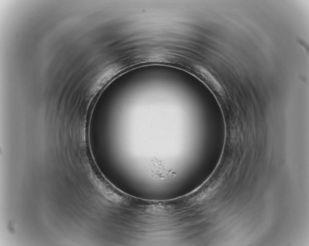 X0000096210938200801251031