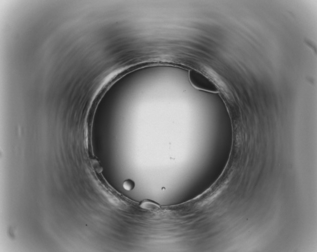 X0000096210940200801251031