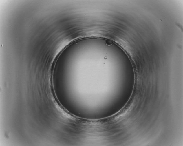 X0000096210941200801251031