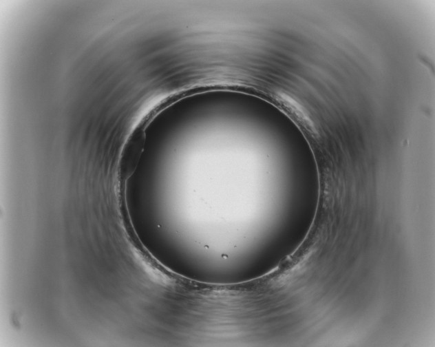 X0000096210942200801251031