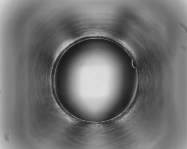 X0000096210943200801251031