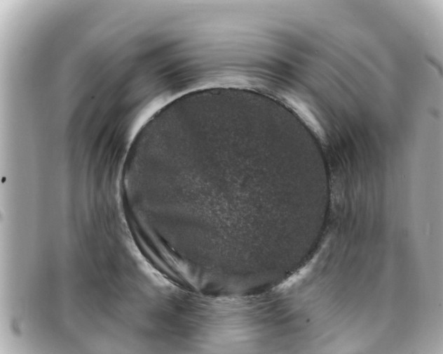 X0000096210944200801251031