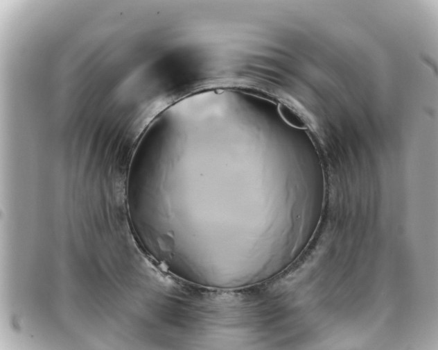 X0000096210945200801251031