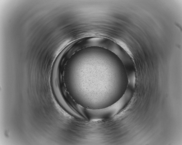 X0000096210946200801251031