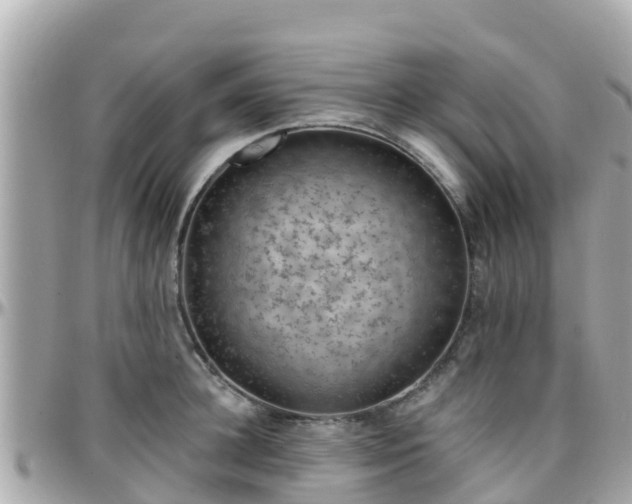 X0000096210948200801251032