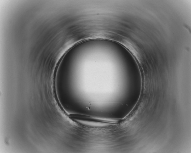 X0000096210949200801251032