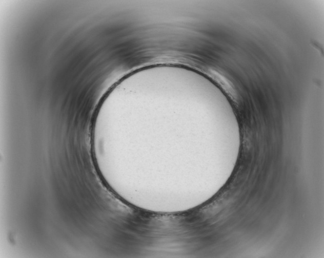 X0000096210950200801251032