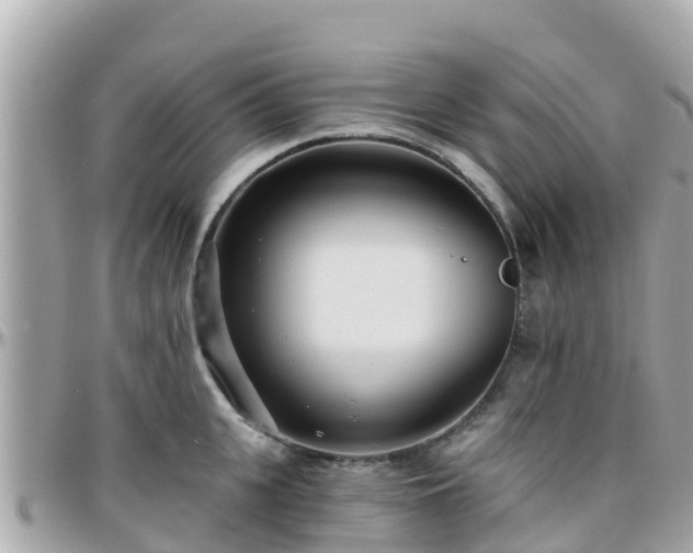 X0000096210951200801251032