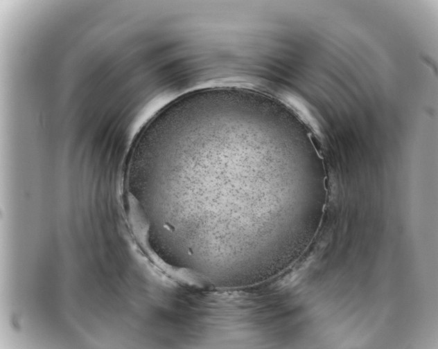 X0000096210952200801251032