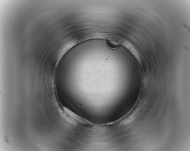 X0000096210954200801251032