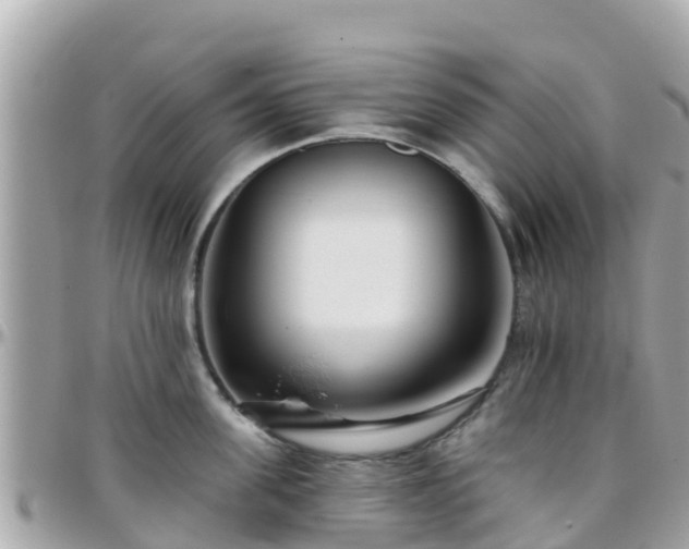 X0000096210955200801251032