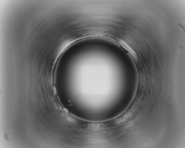 X0000096210956200801251032