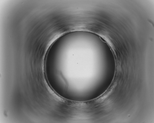 X0000096210957200801251032