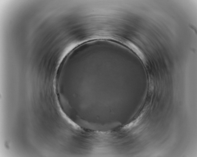 X0000096210958200801251032