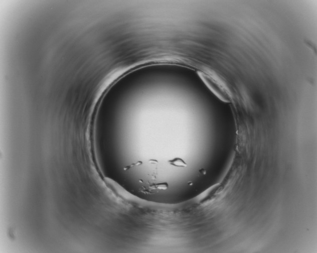 X0000096210959200801251032