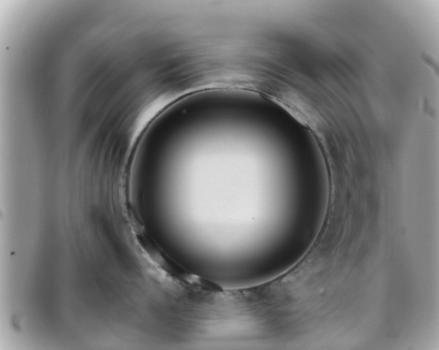 X0000096210960200801251032