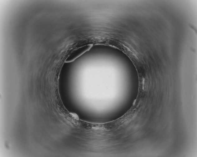 X0000096210961200801251031