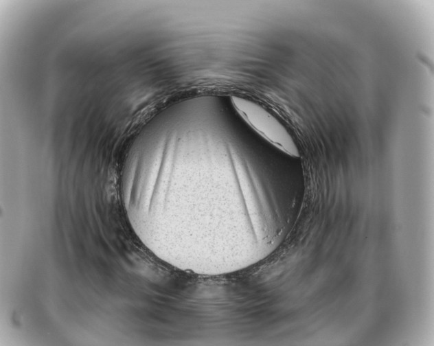 X0000096210964200801251031