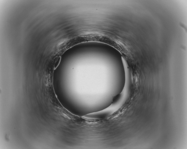 X0000096210965200801251031