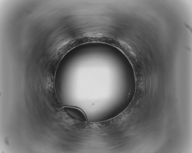 X0000096210966200801251031