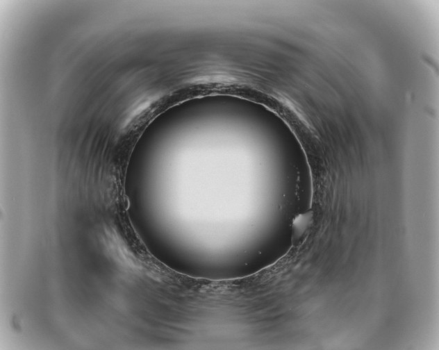 X0000096210967200801251031