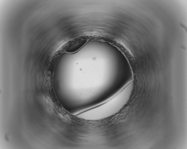 X0000096210968200801251031